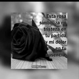 Meet your Posher, Genesis